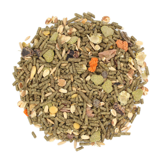 Raw-Image showing Menu Guinea Pig