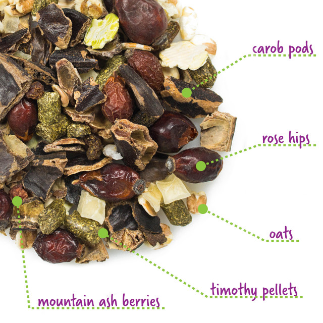 Feature-Image showing Chinchilla Cocktail